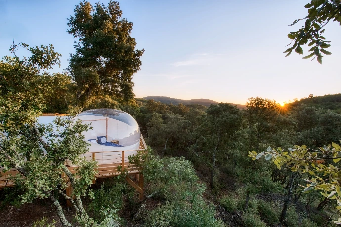 La bulle Orion flottant au dessus de la forêt