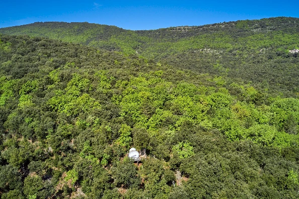 la bulle Orion perdur dans la forêt.