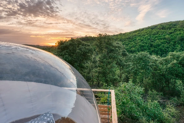 Vue panoramique de la bulle Orion nichée dans la forêt.